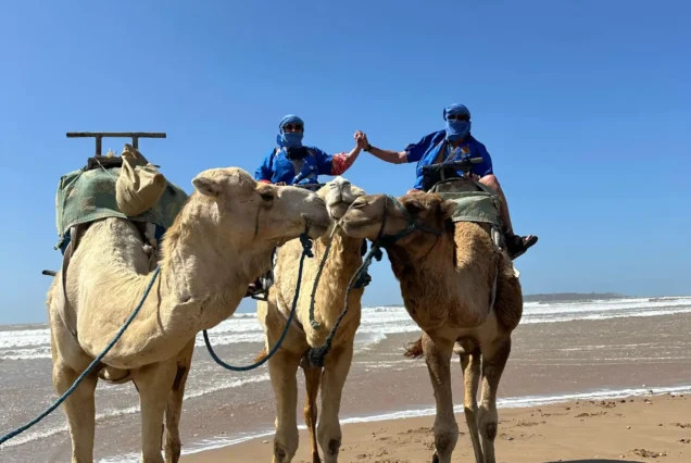 Taghazout Camel Ride