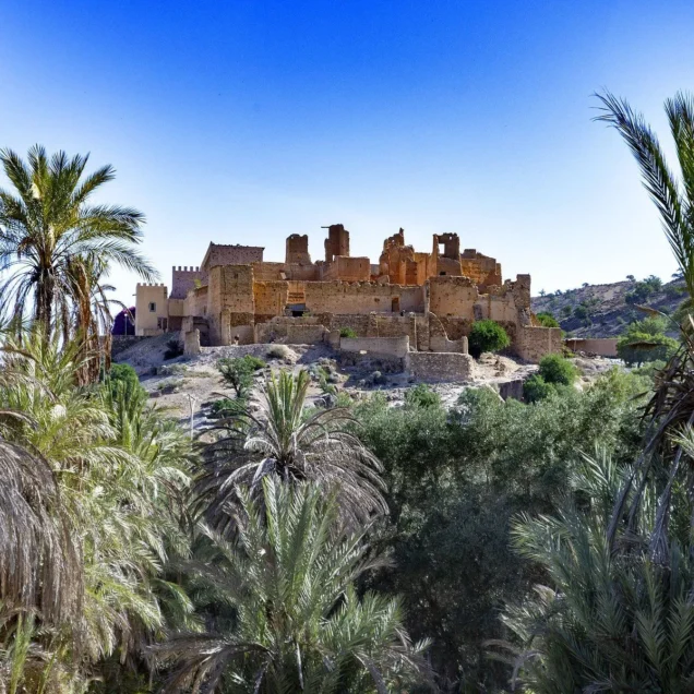 Taroudant Day Trip vist Tiout